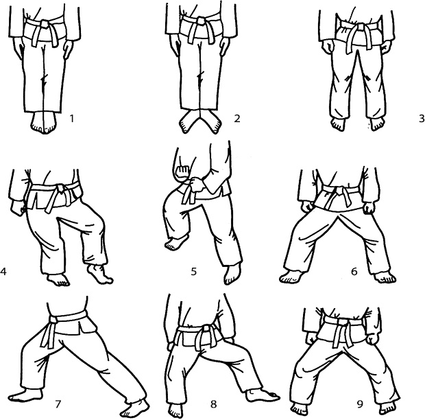 Иллюстрация к книге — Энциклопедия каратэ. История и философия, теория и практика, педагогические принципы и методики обучения [_120654.jpg]