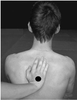 Иллюстрация к книге — Энциклопедия каратэ. История и философия, теория и практика, педагогические принципы и методики обучения [_49_fmt.jpg]