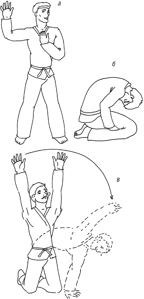 Иллюстрация к книге — Кодекс самурая. Запретная книга Силы [i_011.jpg]