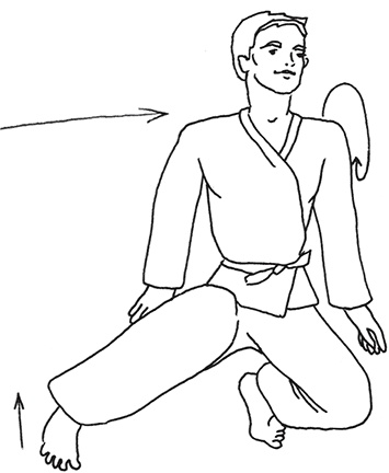 Иллюстрация к книге — Кодекс самурая. Запретная книга Силы [i_018.jpg]