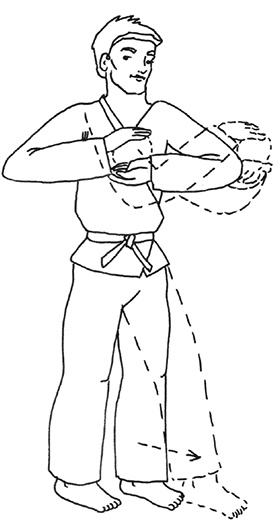 Иллюстрация к книге — Кодекс самурая. Запретная книга Силы [i_019.jpg]