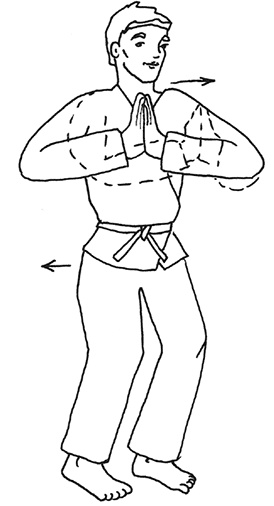 Иллюстрация к книге — Кодекс самурая. Запретная книга Силы [i_023.jpg]