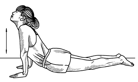 Иллюстрация к книге — Жизнь без боли в спине. Лечение сколиоза, остеопороза, остеохондроза, межпозвонковой грыжи без операции [i_023.jpg]