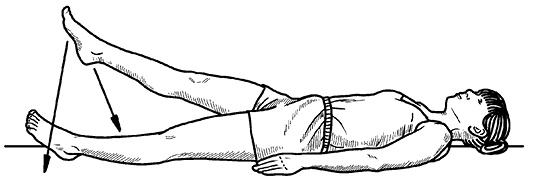 Иллюстрация к книге — Жизнь без боли в спине. Лечение сколиоза, остеопороза, остеохондроза, межпозвонковой грыжи без операции [i_057.jpg]