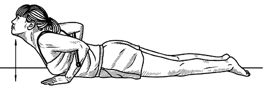 Иллюстрация к книге — Жизнь без боли в спине. Лечение сколиоза, остеопороза, остеохондроза, межпозвонковой грыжи без операции [i_065.jpg]