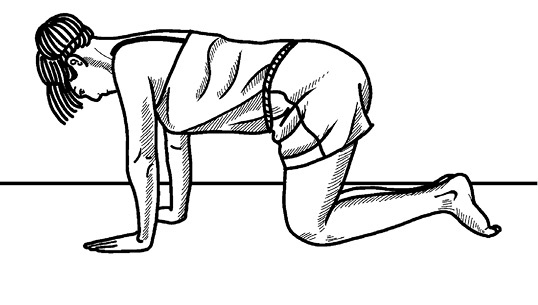 Иллюстрация к книге — Жизнь без боли в спине. Лечение сколиоза, остеопороза, остеохондроза, межпозвонковой грыжи без операции [i_131.jpg]