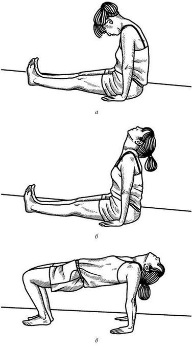 Иллюстрация к книге — Жизнь без боли в спине. Лечение сколиоза, остеопороза, остеохондроза, межпозвонковой грыжи без операции [i_155.jpg]