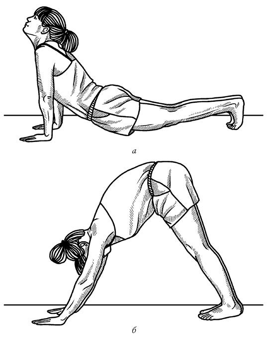 Иллюстрация к книге — Жизнь без боли в спине. Лечение сколиоза, остеопороза, остеохондроза, межпозвонковой грыжи без операции [i_156.jpg]