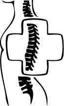 Иллюстрация к книге — Жизнь без боли в спине. Лечение сколиоза, остеопороза, остеохондроза, межпозвонковой грыжи без операции [i_157.jpg]