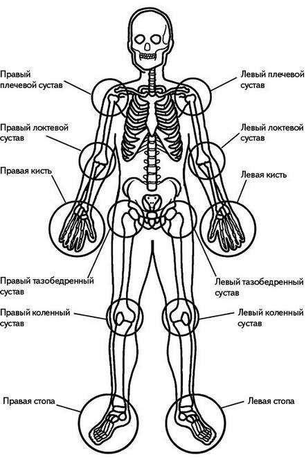 Иллюстрация к книге — Жизнь без боли в спине. Лечение сколиоза, остеопороза, остеохондроза, межпозвонковой грыжи без операции [i_159.jpg]