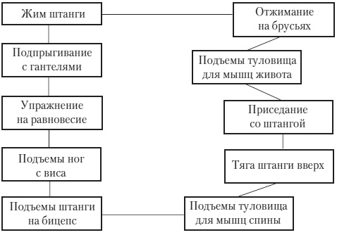Иллюстрация к книге — Силовой тренинг. Как нарастить силу, занимаясь без тренера [i_004.jpg]