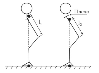 Иллюстрация к книге — Силовой тренинг. Как нарастить силу, занимаясь без тренера [i_018.jpg]