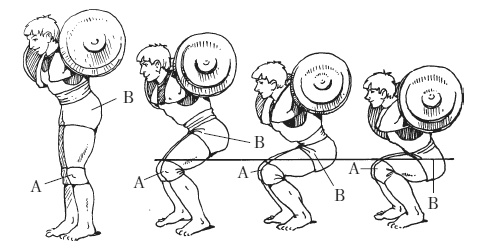Иллюстрация к книге — Силовой тренинг. Как нарастить силу, занимаясь без тренера [i_020.jpg]