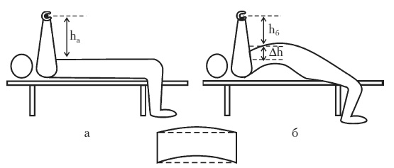 Иллюстрация к книге — Силовой тренинг. Как нарастить силу, занимаясь без тренера [i_026.jpg]