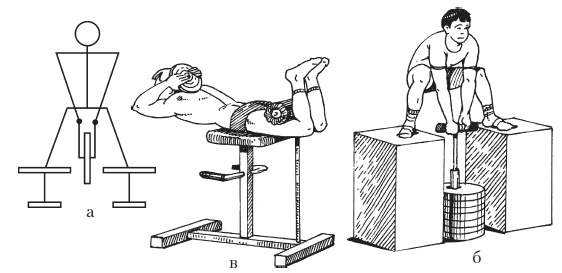 Иллюстрация к книге — Силовой тренинг. Как нарастить силу, занимаясь без тренера [i_035.jpg]