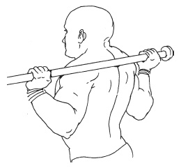 Иллюстрация к книге — Силовой тренинг. Как нарастить силу, занимаясь без тренера [i_074.jpg]