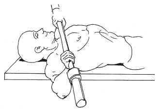 Иллюстрация к книге — Силовой тренинг. Как нарастить силу, занимаясь без тренера [i_084.jpg]