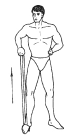 Иллюстрация к книге — Силовой тренинг. Как нарастить силу, занимаясь без тренера [i_097.jpg]