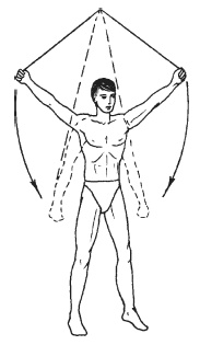 Иллюстрация к книге — Силовой тренинг. Как нарастить силу, занимаясь без тренера [i_098.jpg]