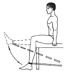 Иллюстрация к книге — Силовой тренинг. Как нарастить силу, занимаясь без тренера [i_099.jpg]