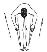 Иллюстрация к книге — Силовой тренинг. Как нарастить силу, занимаясь без тренера [i_100.jpg]