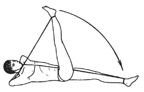 Иллюстрация к книге — Силовой тренинг. Как нарастить силу, занимаясь без тренера [i_102.jpg]