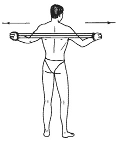 Иллюстрация к книге — Силовой тренинг. Как нарастить силу, занимаясь без тренера [i_105.jpg]
