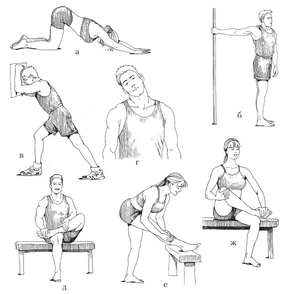 Иллюстрация к книге — Силовой тренинг. Как нарастить силу, занимаясь без тренера [i_111.jpg]