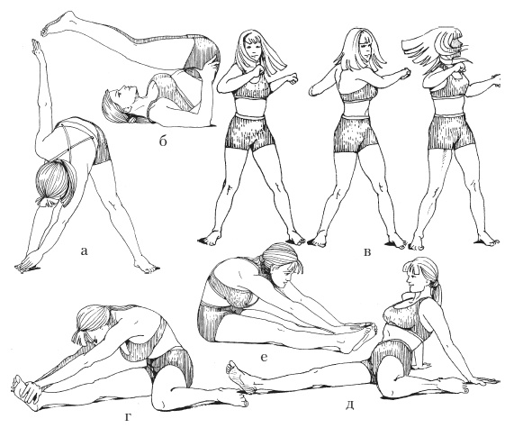 Иллюстрация к книге — Силовой тренинг. Как нарастить силу, занимаясь без тренера [i_112.jpg]