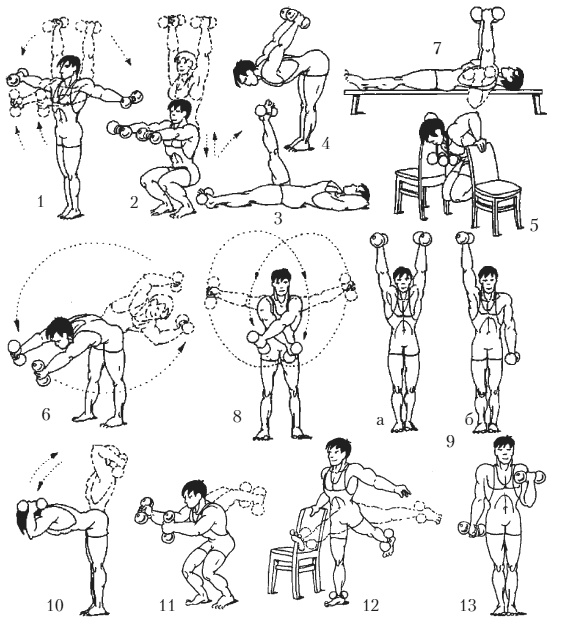 Иллюстрация к книге — Силовой тренинг. Как нарастить силу, занимаясь без тренера [i_116.jpg]