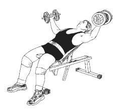 Иллюстрация к книге — Силовой тренинг. Как нарастить силу, занимаясь без тренера [i_122.jpg]