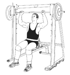 Иллюстрация к книге — Силовой тренинг. Как нарастить силу, занимаясь без тренера [i_124.jpg]