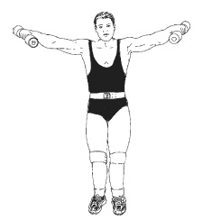 Иллюстрация к книге — Силовой тренинг. Как нарастить силу, занимаясь без тренера [i_125.jpg]