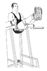 Иллюстрация к книге — Силовой тренинг. Как нарастить силу, занимаясь без тренера [i_131.jpg]