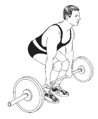 Иллюстрация к книге — Силовой тренинг. Как нарастить силу, занимаясь без тренера [i_135.jpg]