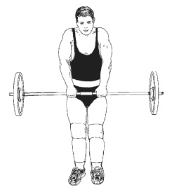 Иллюстрация к книге — Силовой тренинг. Как нарастить силу, занимаясь без тренера [i_139.jpg]