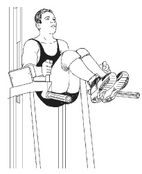 Иллюстрация к книге — Силовой тренинг. Как нарастить силу, занимаясь без тренера [i_143.jpg]