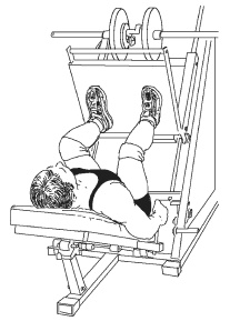 Иллюстрация к книге — Силовой тренинг. Как нарастить силу, занимаясь без тренера [i_147.jpg]