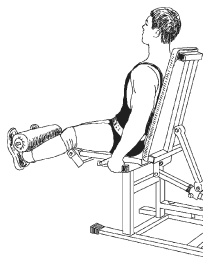 Иллюстрация к книге — Силовой тренинг. Как нарастить силу, занимаясь без тренера [i_148.jpg]