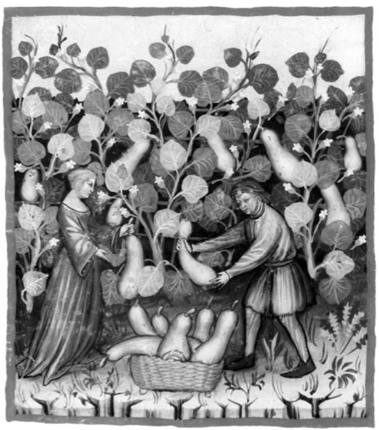 Иллюстрация к книге — Удивительные истории о словах самых разных. Книга о том, ЧТО мы говорим, сами того не ведая [b00000476.jpg]