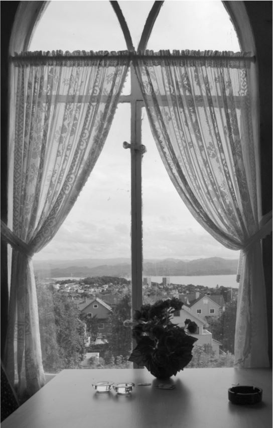 Иллюстрация к книге — Удивительные истории о словах самых разных. Книга о том, ЧТО мы говорим, сами того не ведая [b00000837.jpg]