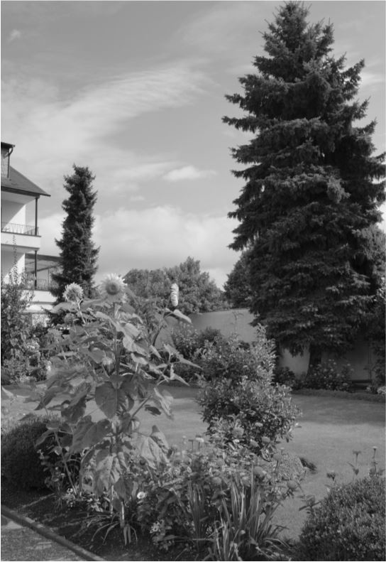 Иллюстрация к книге — Удивительные истории о словах самых разных. Книга о том, ЧТО мы говорим, сами того не ведая [b00001056.jpg]