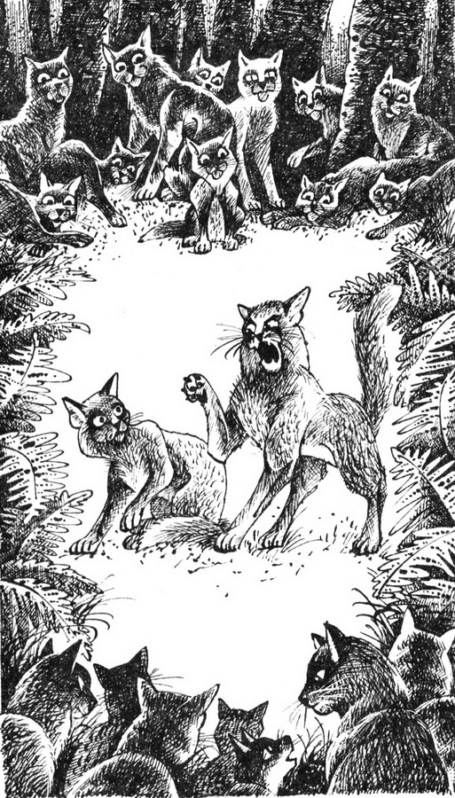 Иллюстрация к книге — Первая битва [pic_2.jpg]