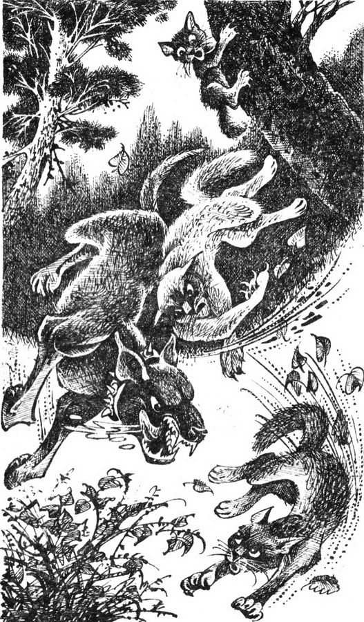 Иллюстрация к книге — Первая битва [pic_3.jpg]