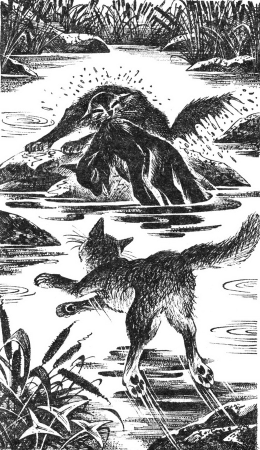 Иллюстрация к книге — Первая битва [pic_4.jpg]