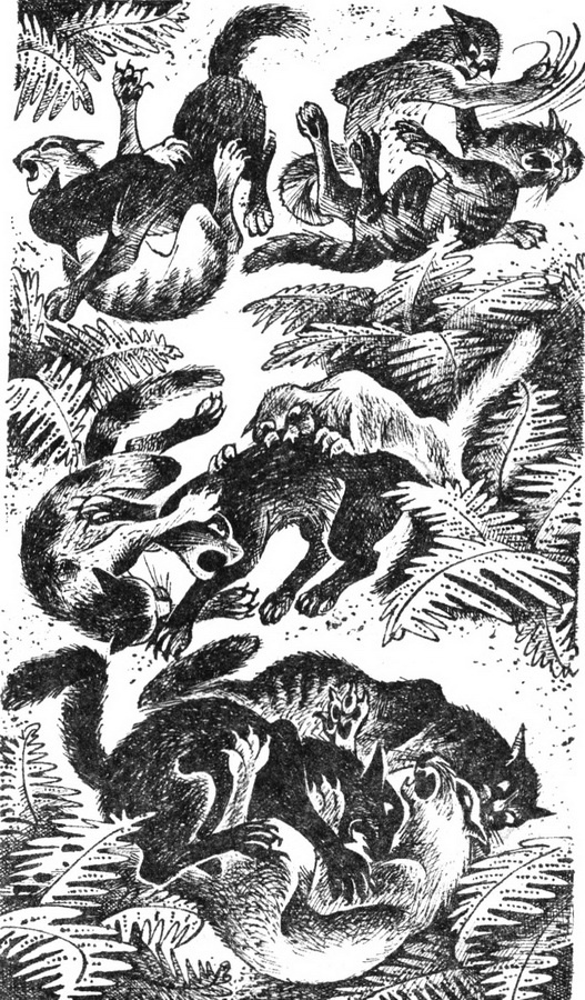 Иллюстрация к книге — Первая битва [pic_5.jpg]