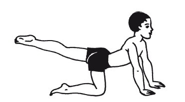 Иллюстрация к книге — Великолепная фигура за 20 минут в день. Осуществи свою мечту! [autogen_ebook_id5.jpg]