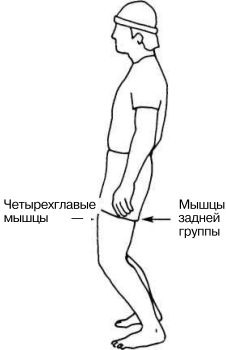 Иллюстрация к книге — Растяжка для каждого [img1887.jpg]