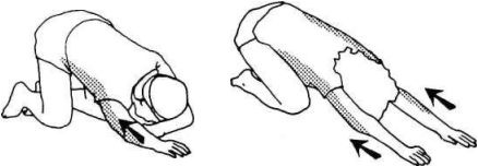 Иллюстрация к книге — Растяжка для каждого [img2dc2.jpg]