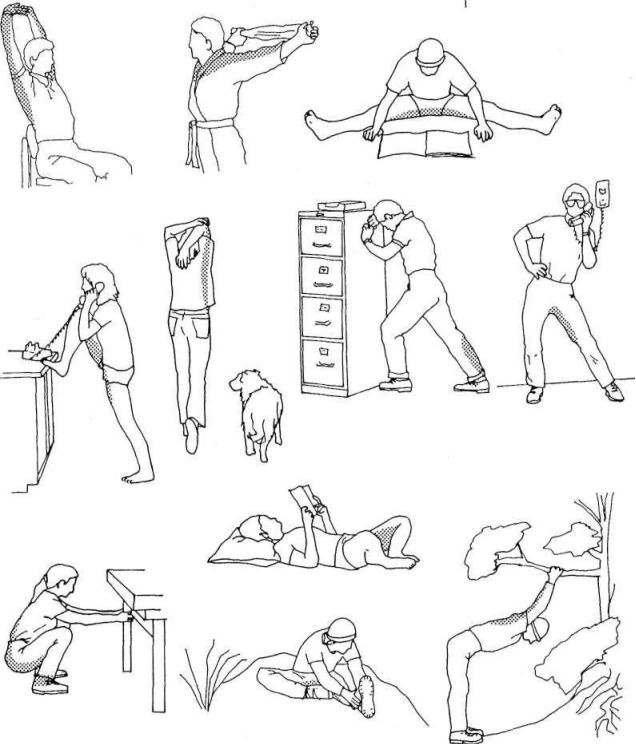 Иллюстрация к книге — Растяжка для каждого [img3021.jpg]